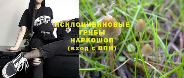 Альфа ПВП Волоколамск